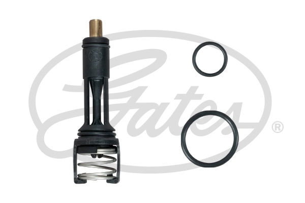 Thermostat, coolant