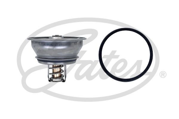 Thermostat, coolant