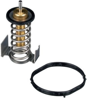 Thermostat, coolant