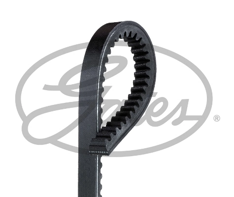 V-Belt