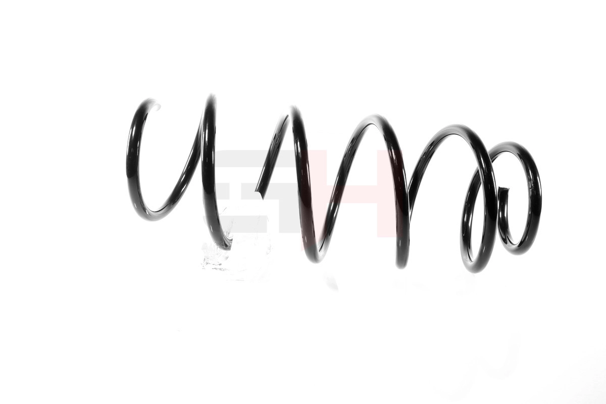 Suspension Spring