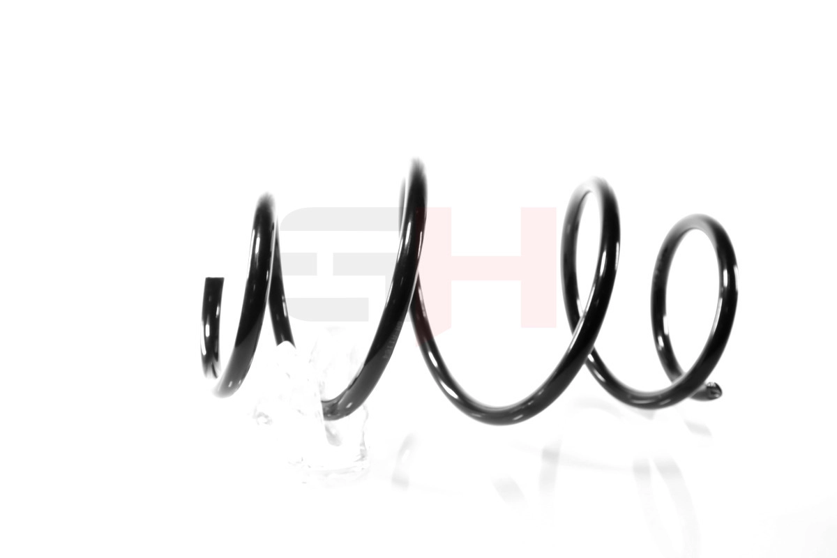 Suspension Spring