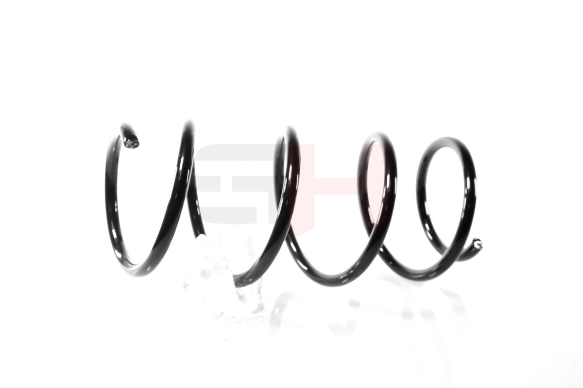 Suspension Spring