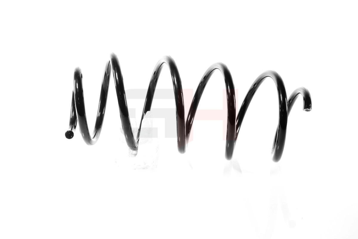 Suspension Spring