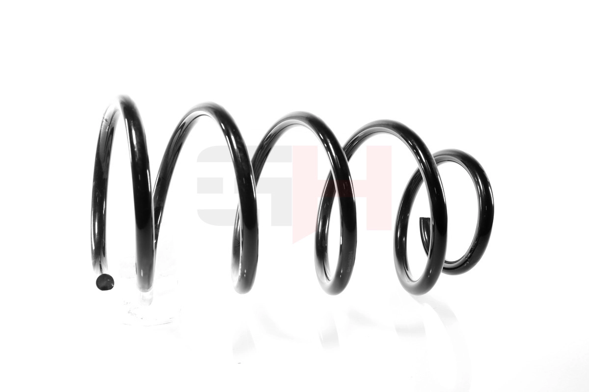 Suspension Spring