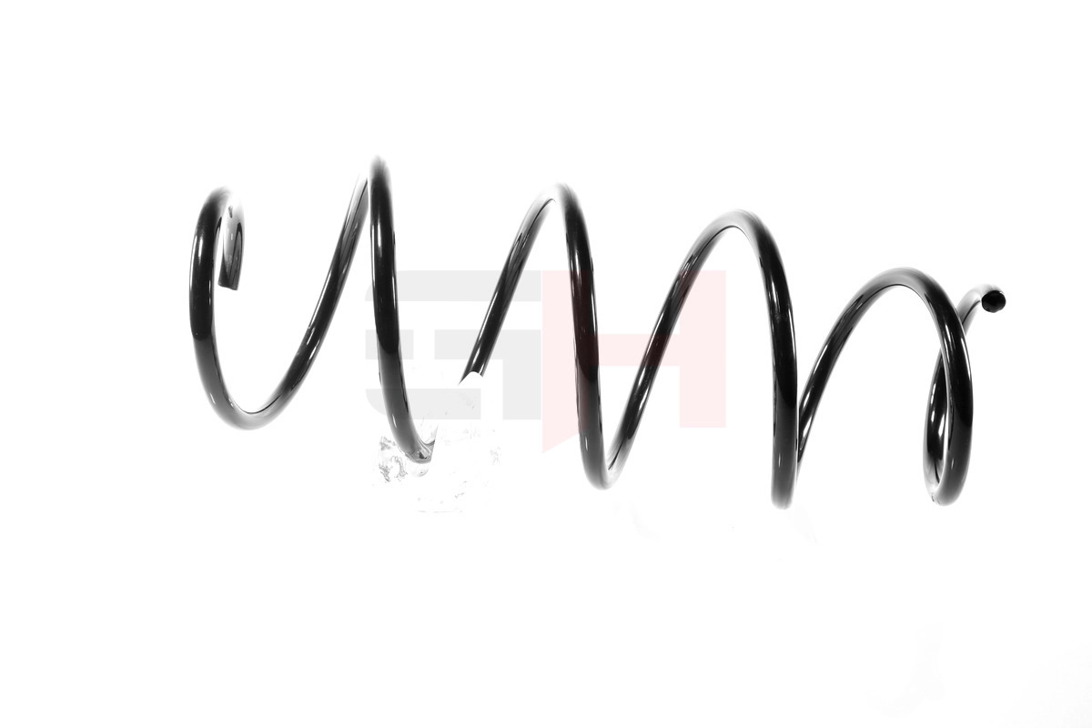 Suspension Spring