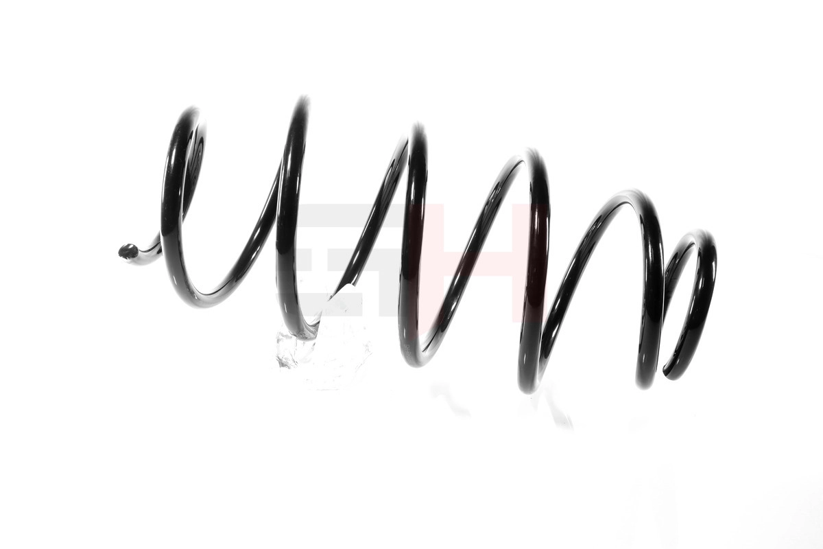 Suspension Spring