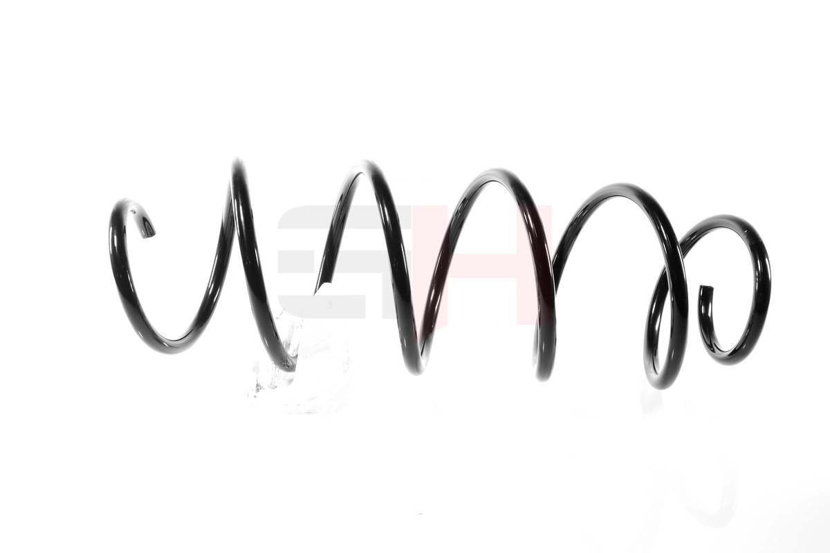 Suspension Spring