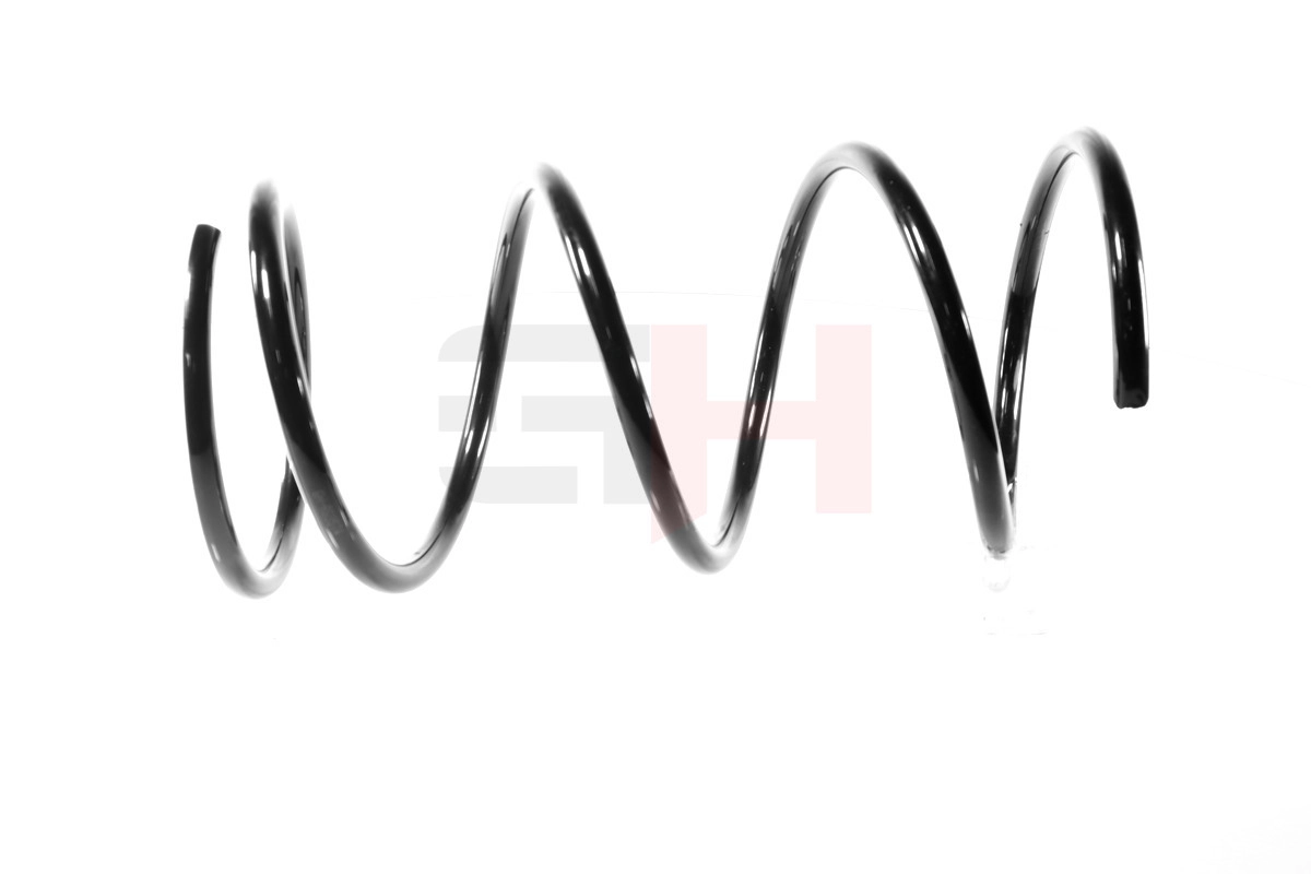 Suspension Spring