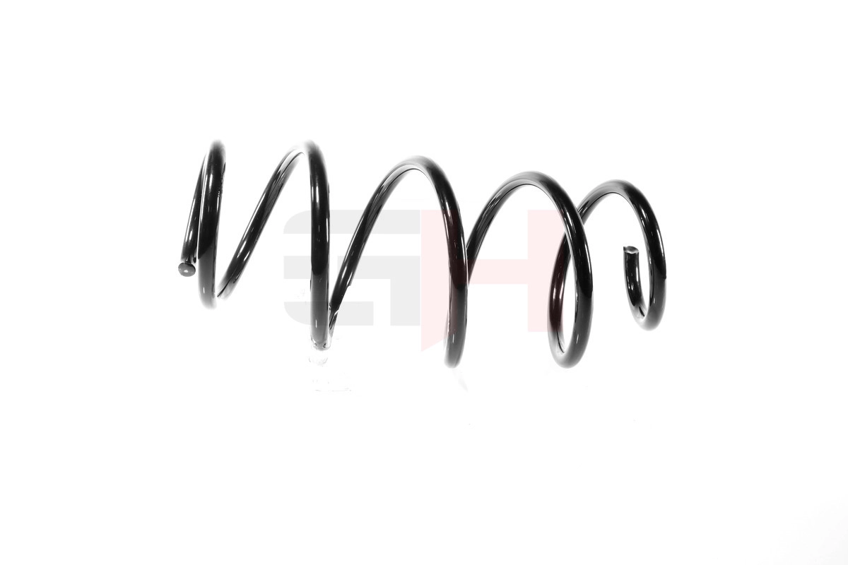 Suspension Spring