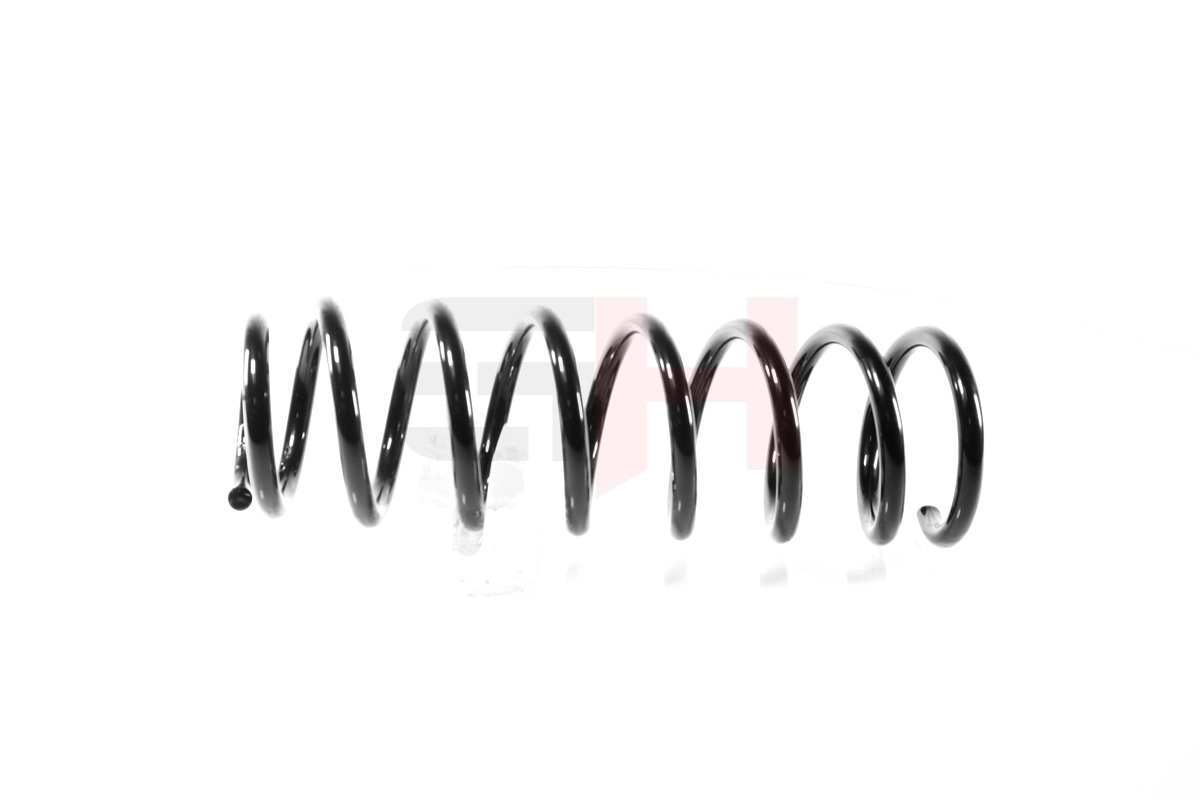 Suspension Spring