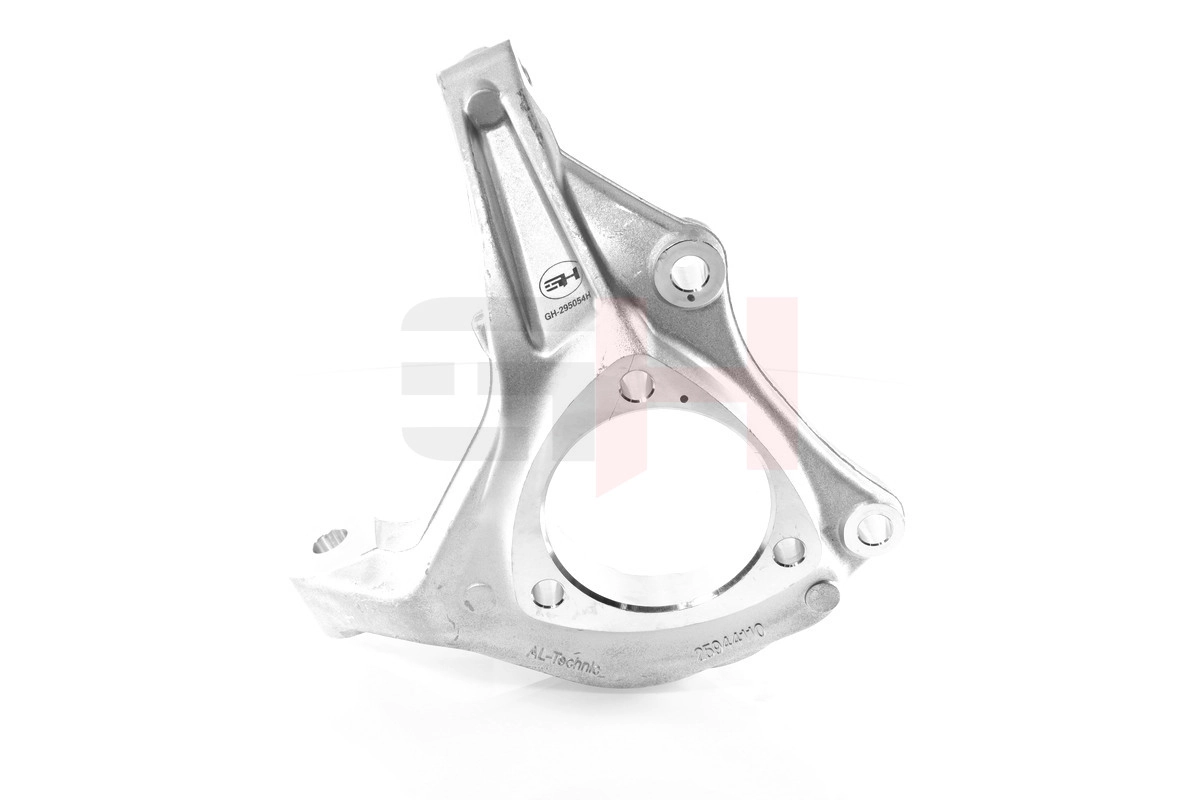 Steering Knuckle, wheel suspension