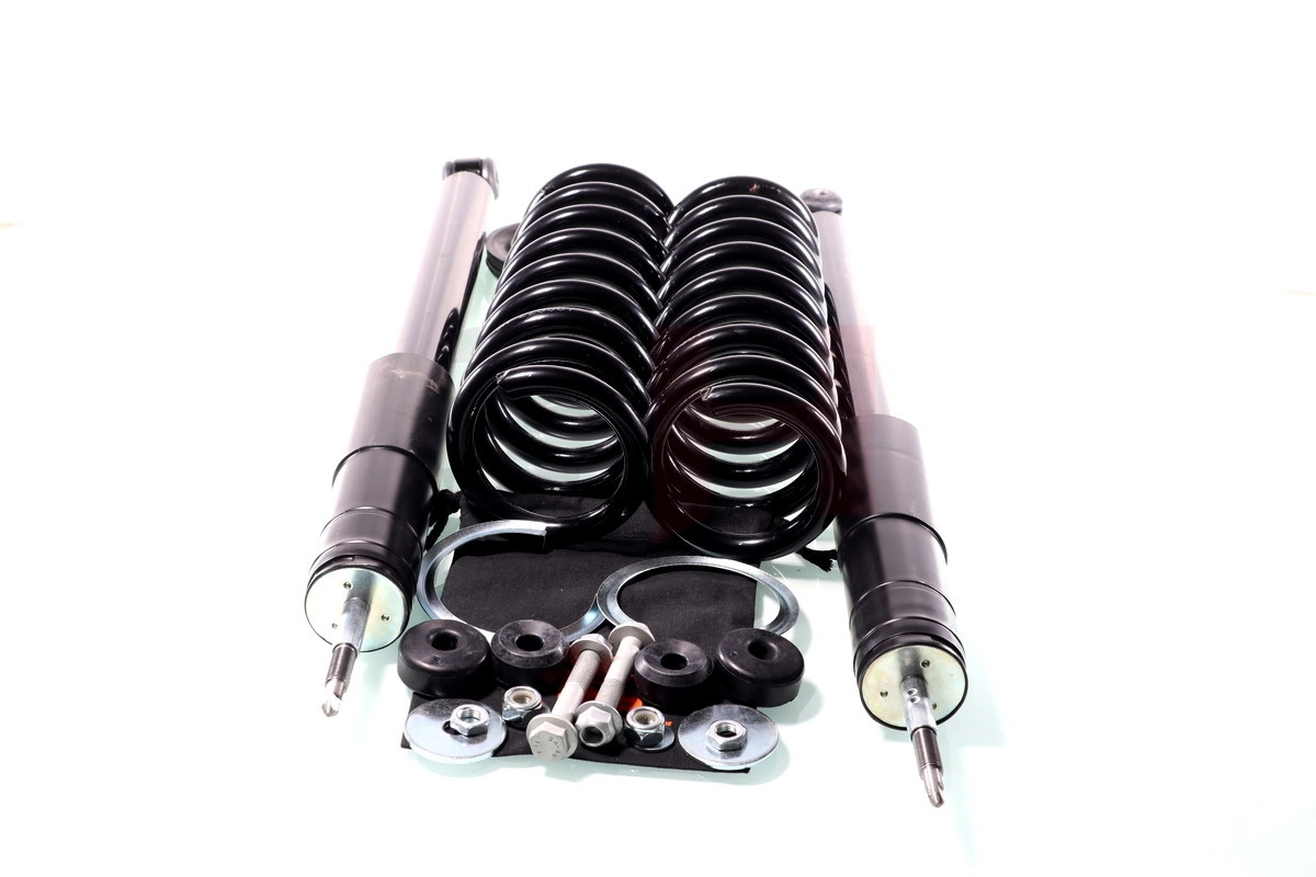 Suspension Kit, springs/shock absorbers
