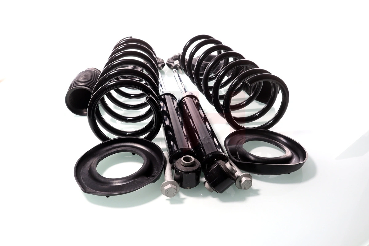 Suspension Kit, springs/shock absorbers