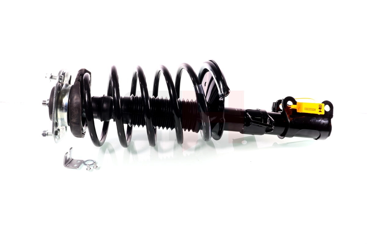 Suspension Strut