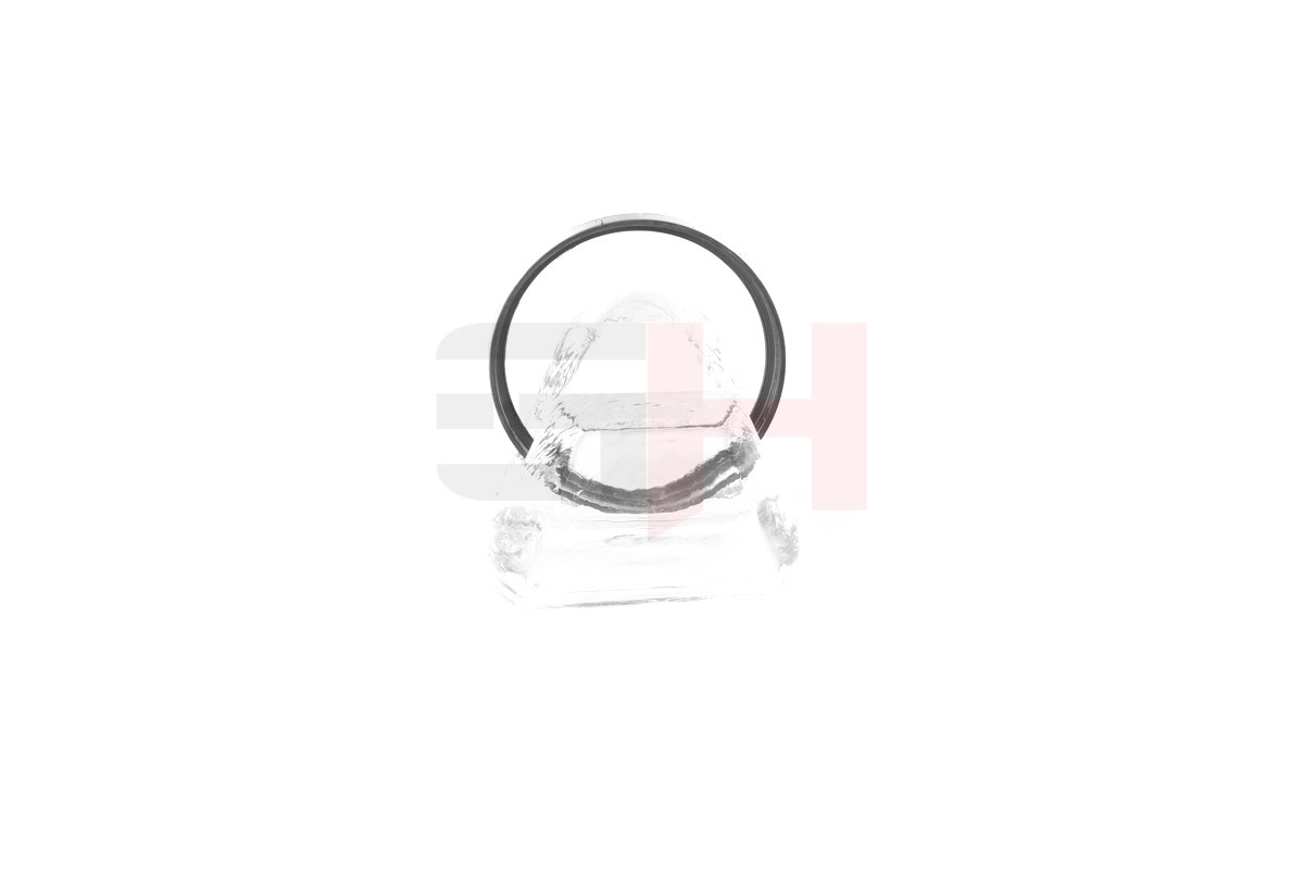 Sensor Ring, ABS