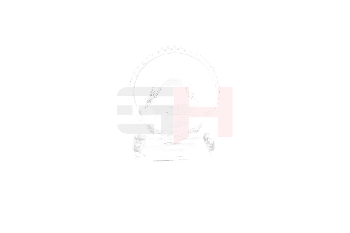 Sensor Ring, ABS