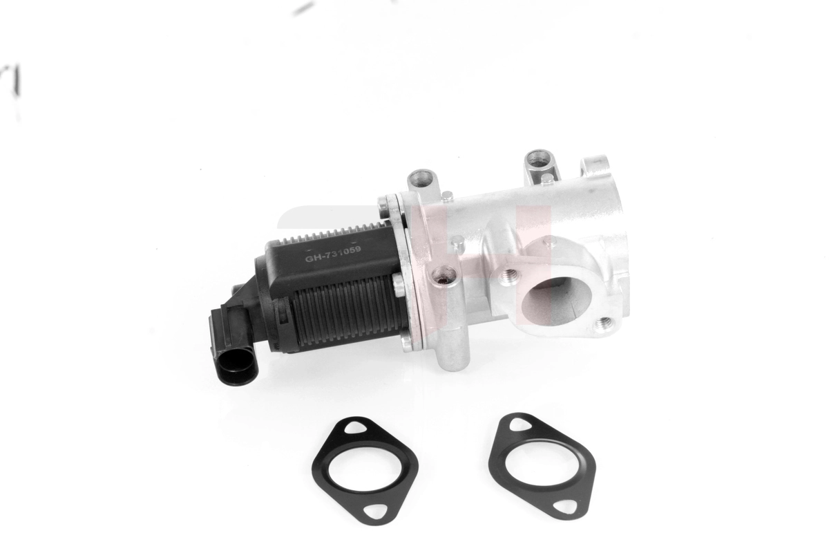 EGR Valve