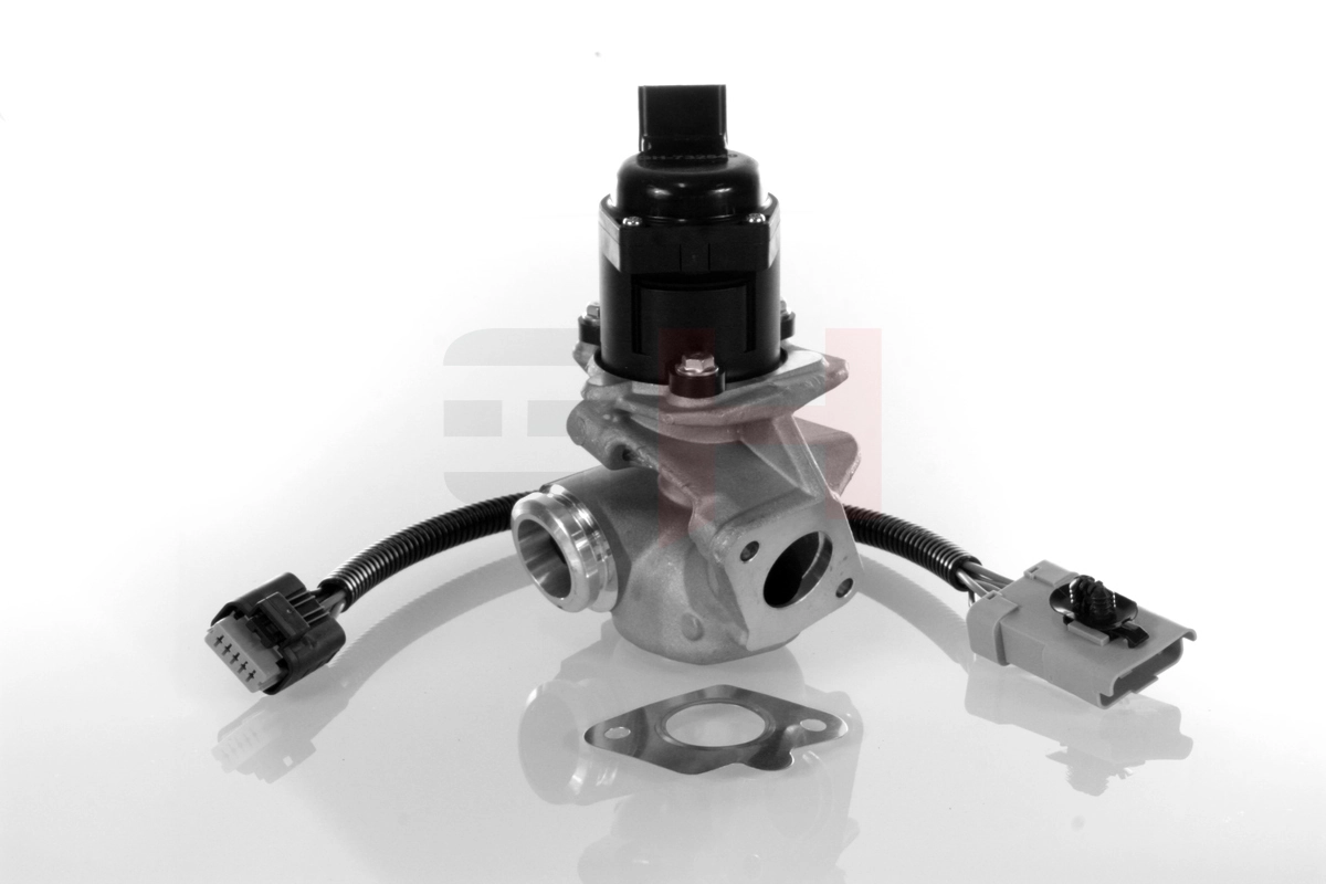 EGR Valve