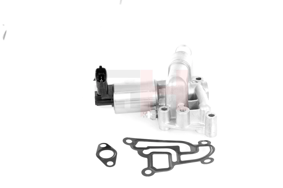 EGR Valve
