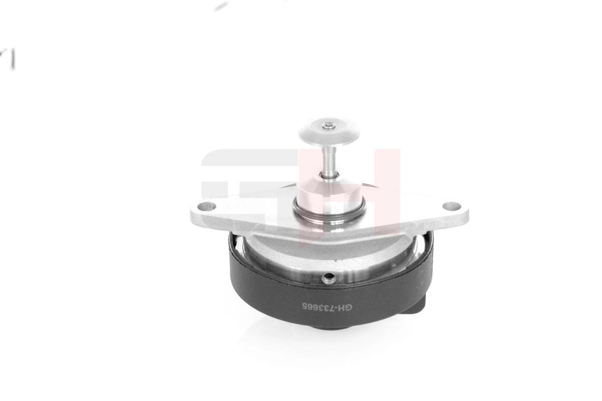 EGR Valve