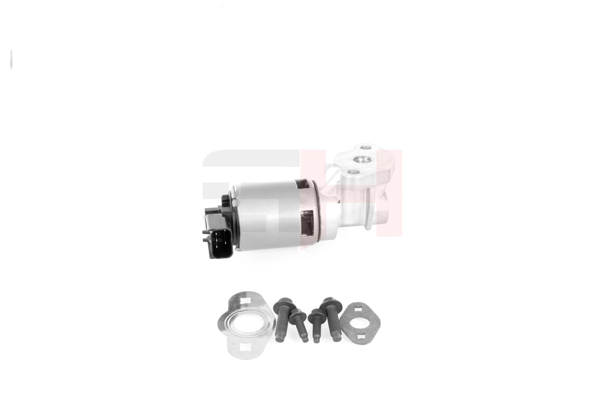 EGR Valve