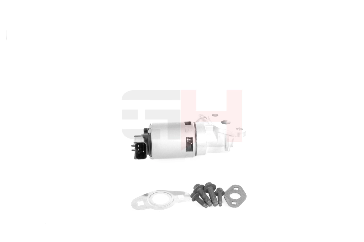 EGR Valve