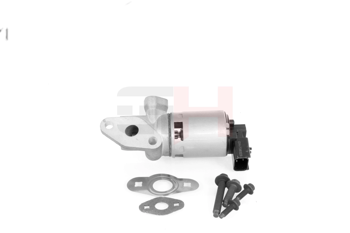 EGR Valve