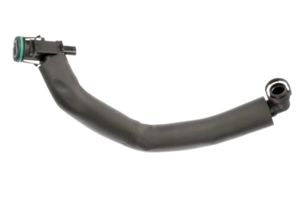 Hose, crankcase ventilation