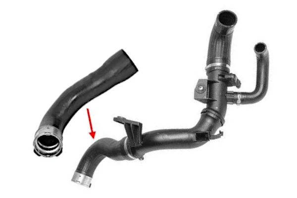 Radiator Hose