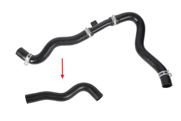 Radiator Hose