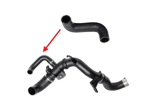 Radiator Hose
