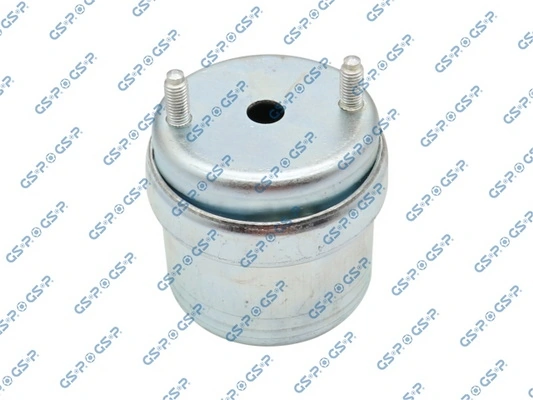 Mounting, engine