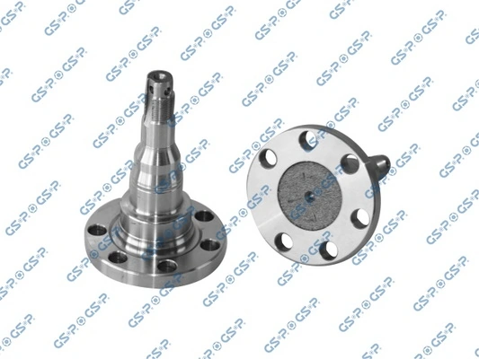 Steering Knuckle, wheel suspension