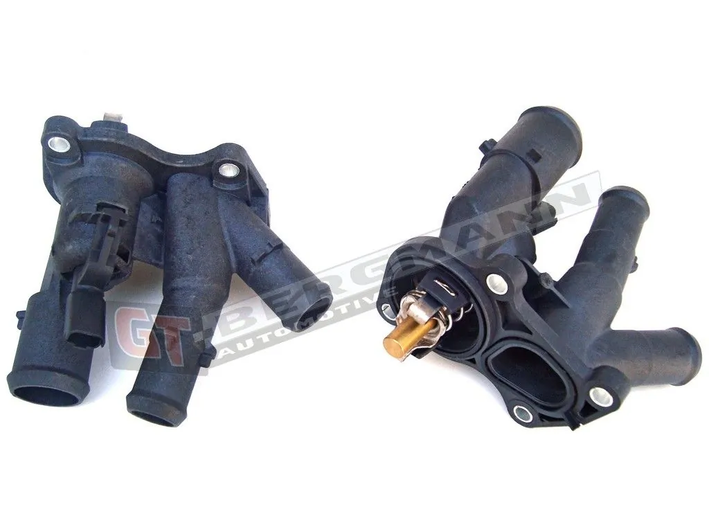 Thermostat, coolant