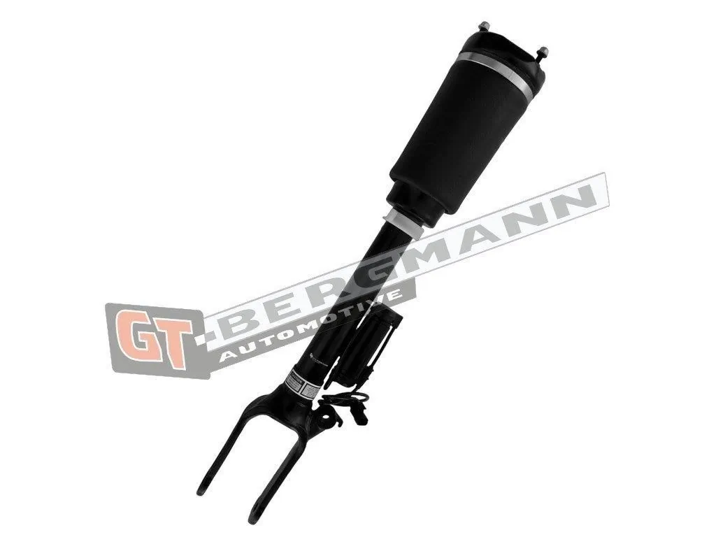 Air Suspension Strut