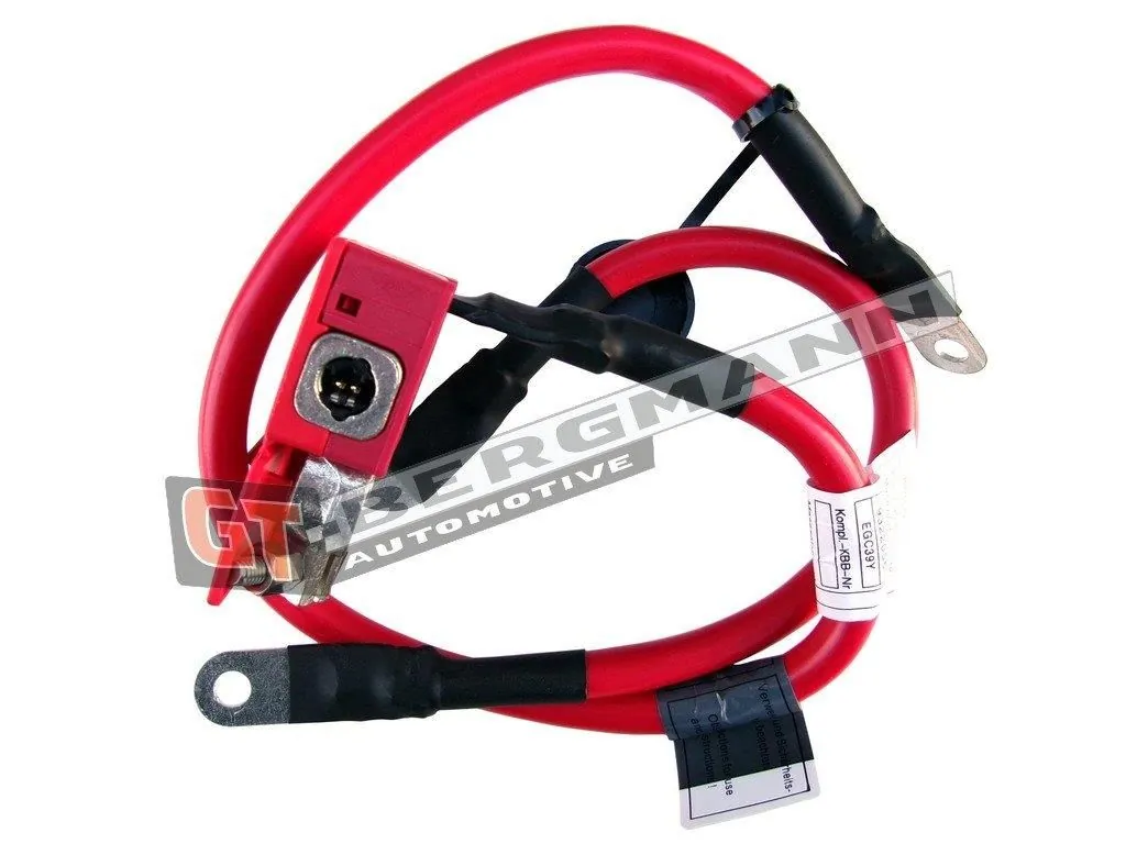 Battery Adapter
