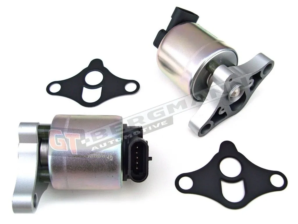 EGR Valve