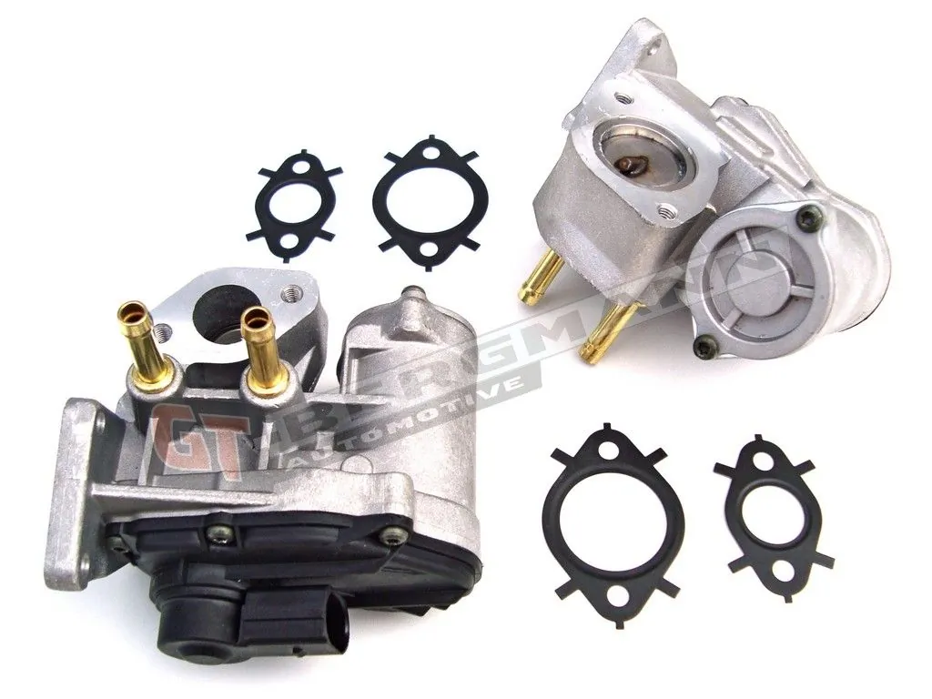 EGR Valve