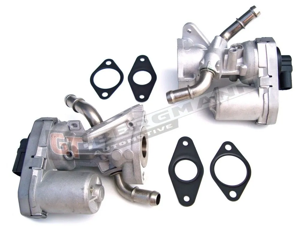 EGR Valve