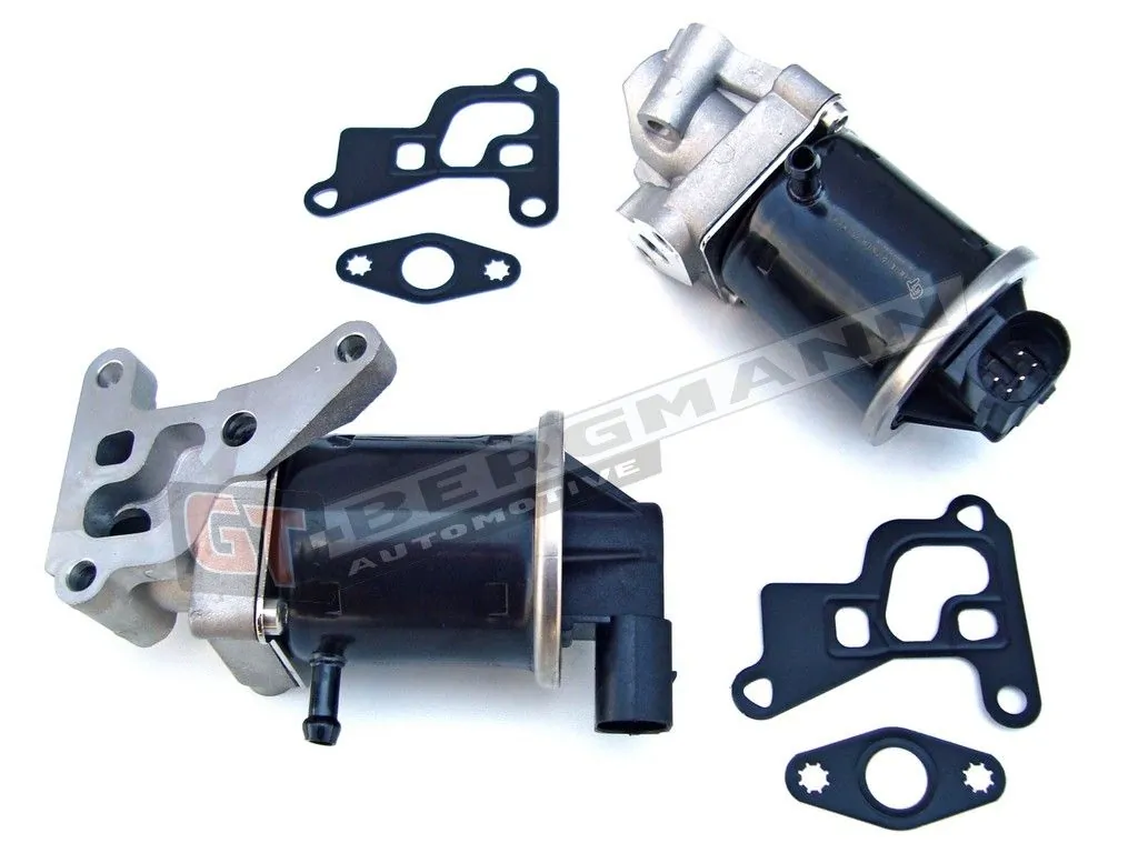 EGR Valve