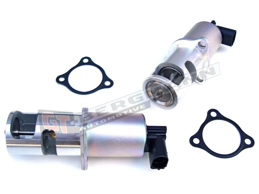 EGR Valve