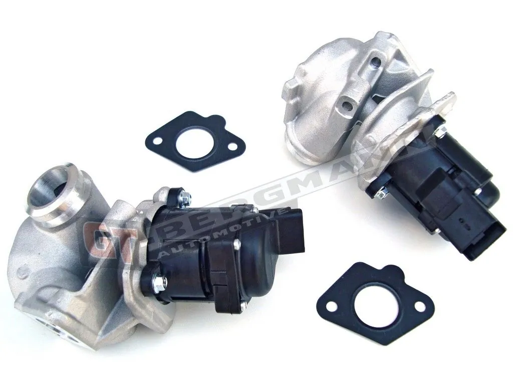 EGR Valve