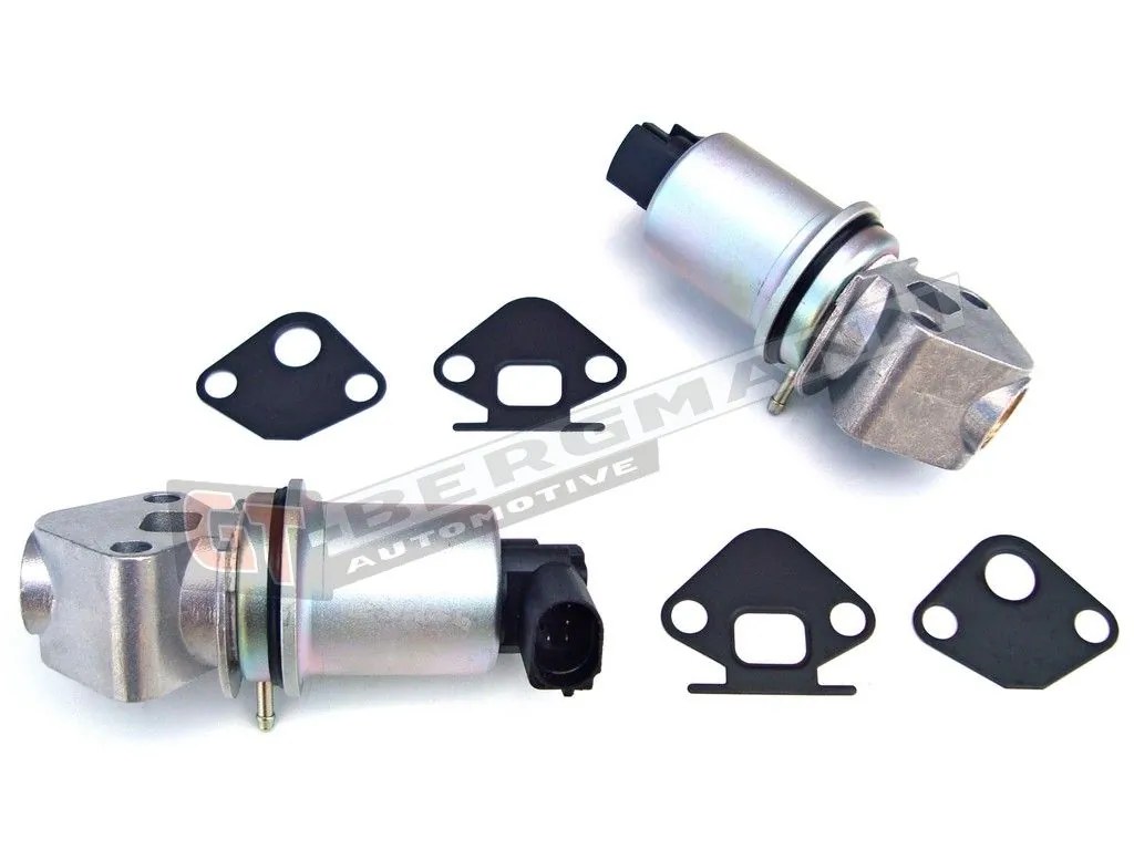 EGR Valve