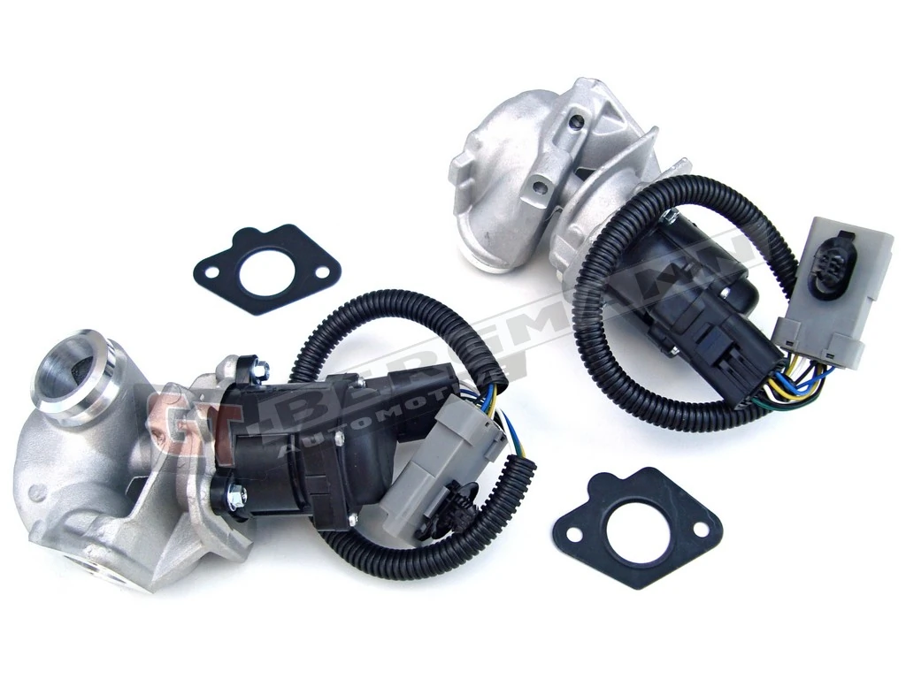 EGR Valve