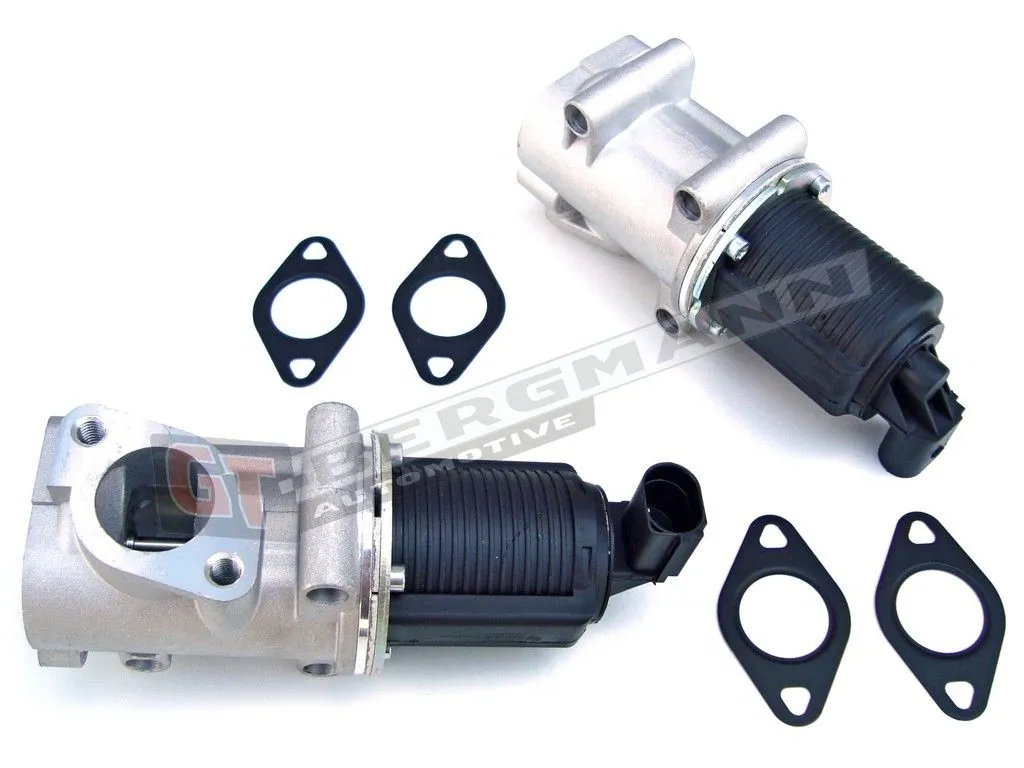 EGR Valve