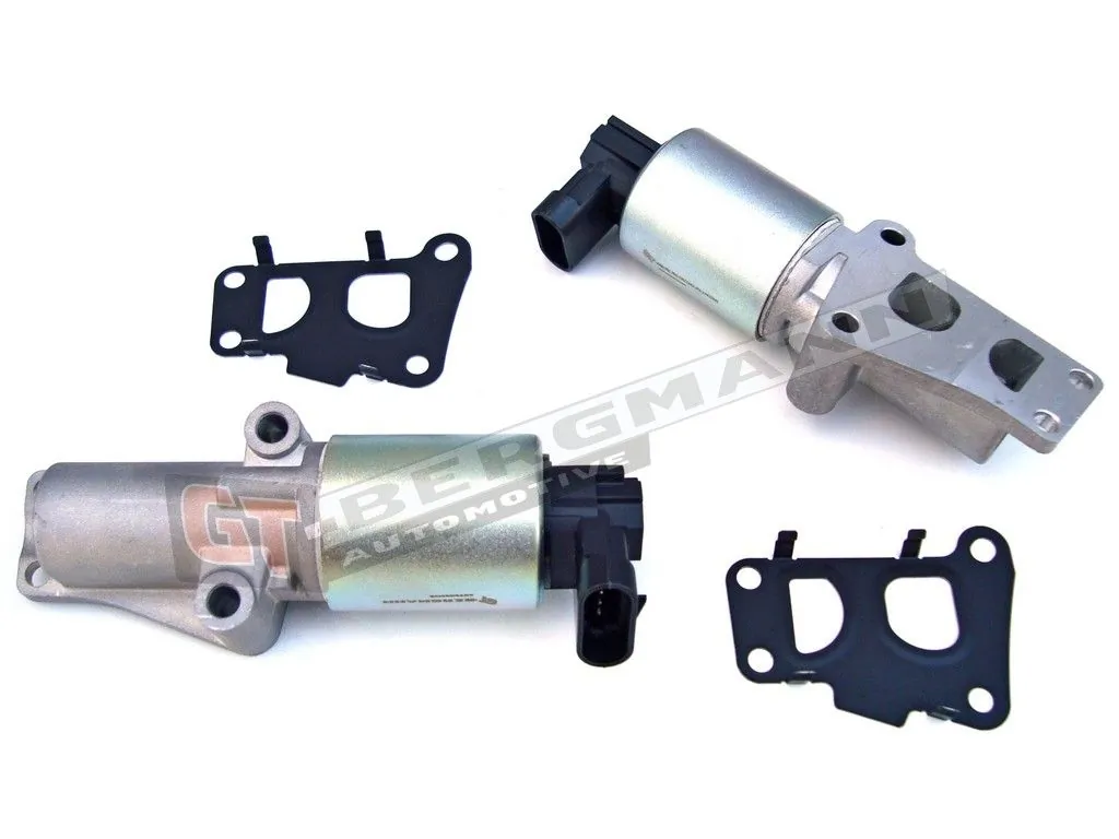 EGR Valve