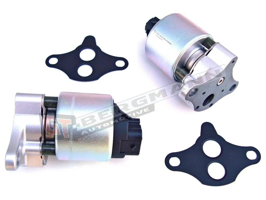 EGR Valve