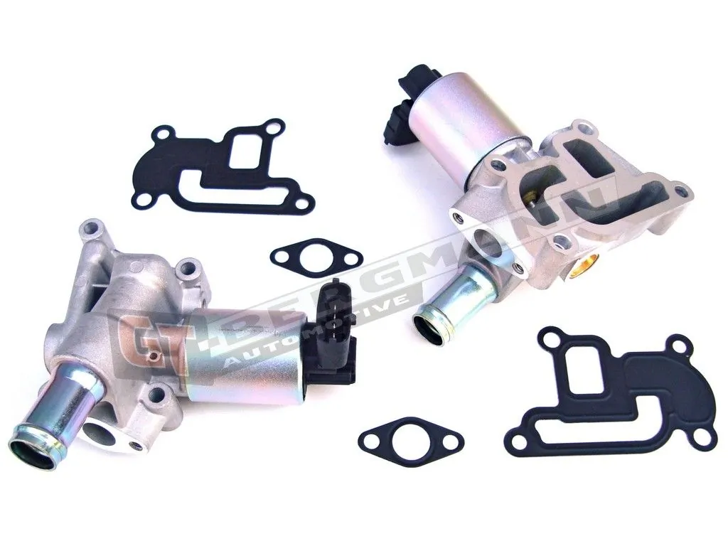 EGR Valve