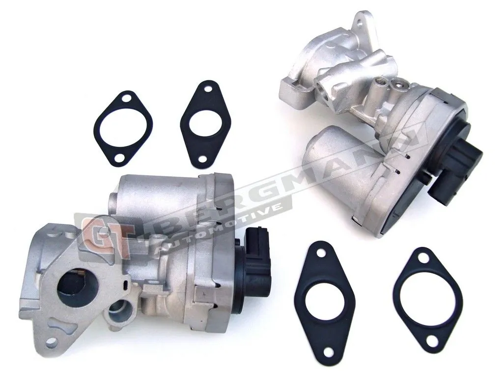 EGR Valve